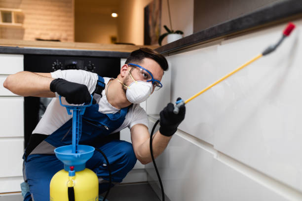 Best Commercial Pest Control Services  in Shell Rock, IA
