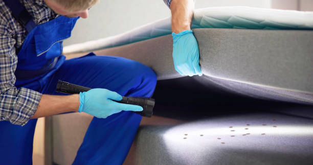 Flea Control Services in Shell Rock, IA